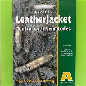 Leatherjacket Nematodes Agralan